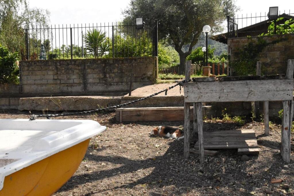 Independent Villa With Private Beach On The Lake Bracciano  Luaran gambar