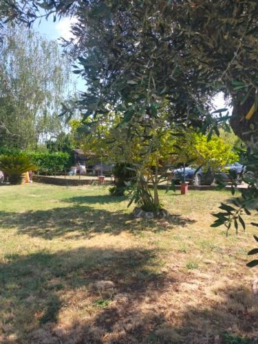 Independent Villa With Private Beach On The Lake Bracciano  Luaran gambar